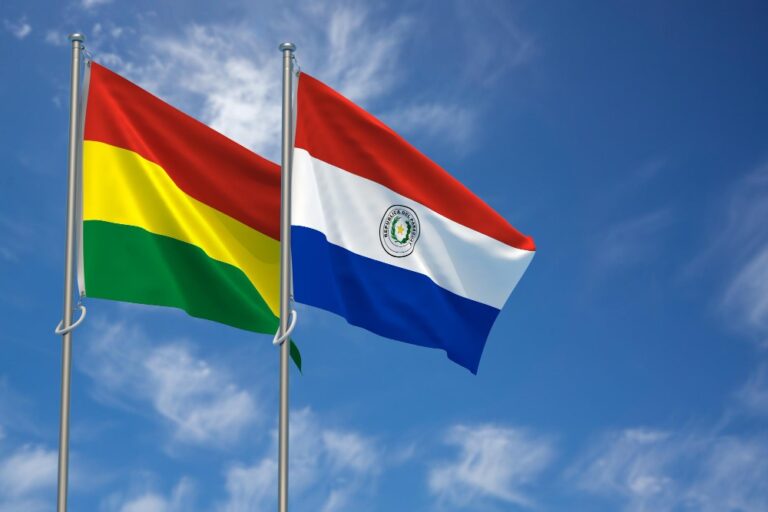 Webinar destacó oportunidades comerciales entre Paraguay y Bolivia